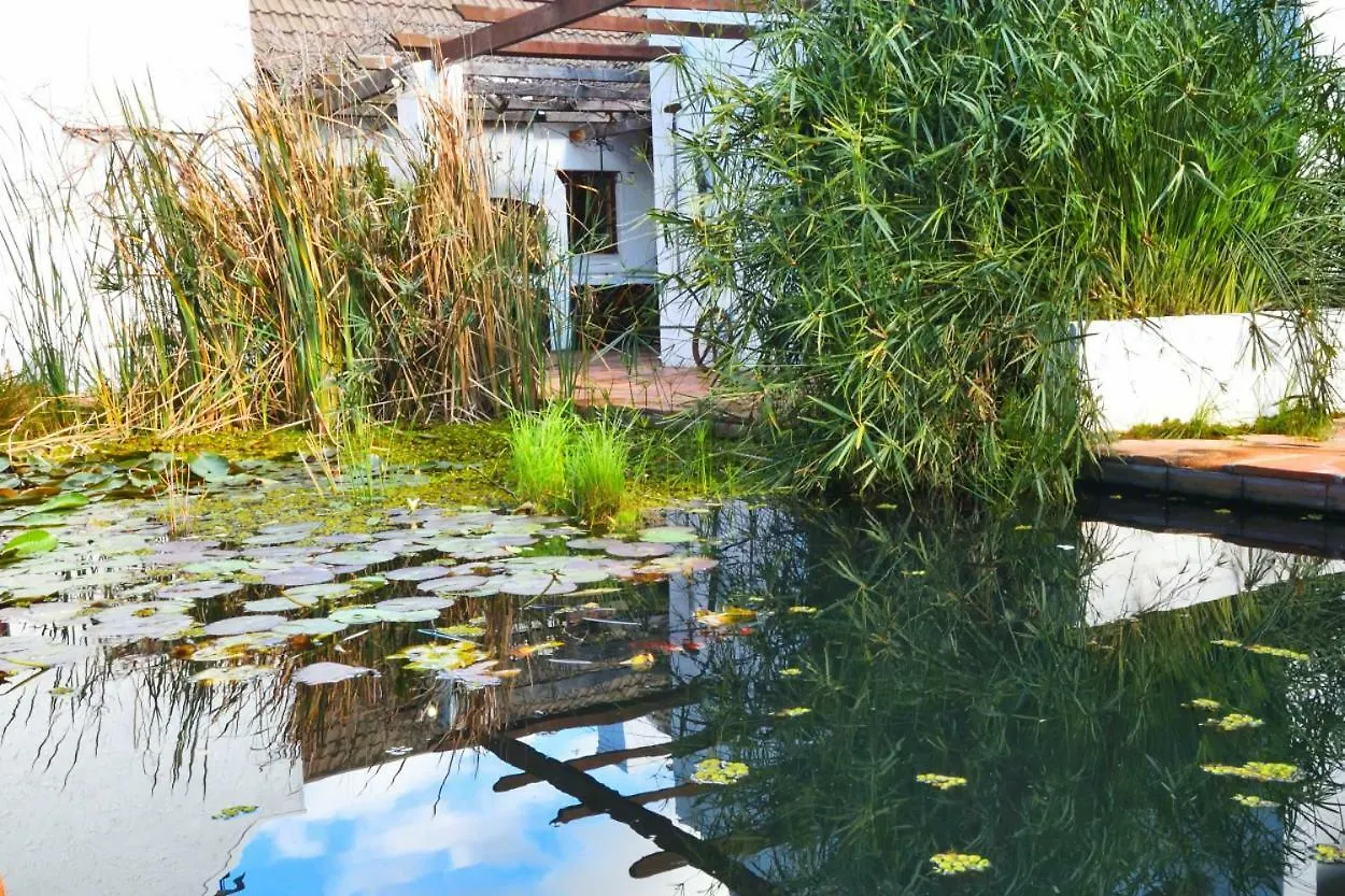 Chelaya Country Lodge Somerset West